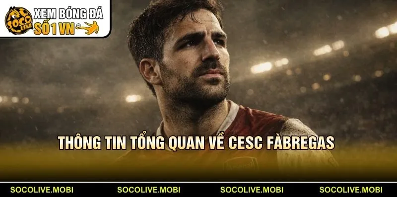 Thông tin tổng quan về Cesc Fàbregas